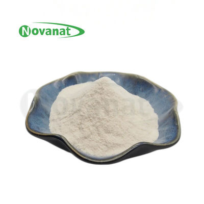 Allergen Free Probiotics Powder HALAL Lactococcus lactis subsp.lactis 300 Billion