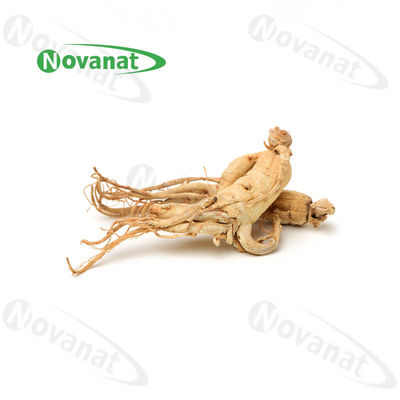 Dry Ginseng Root Organic Dried Herbs  / Clean Label