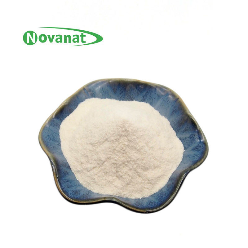 Dairy Lacticaseibacillus rhamnosus GG Powder / Gluten Vegan Allergy Care / Allergen Free