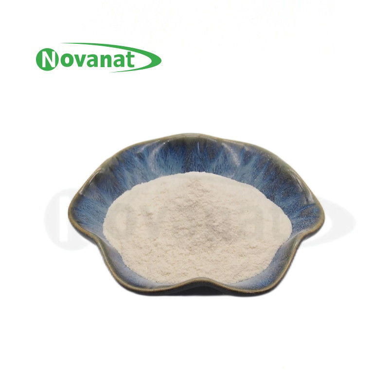 300billion CFU/g Bifidobacterium longum subsp. longum