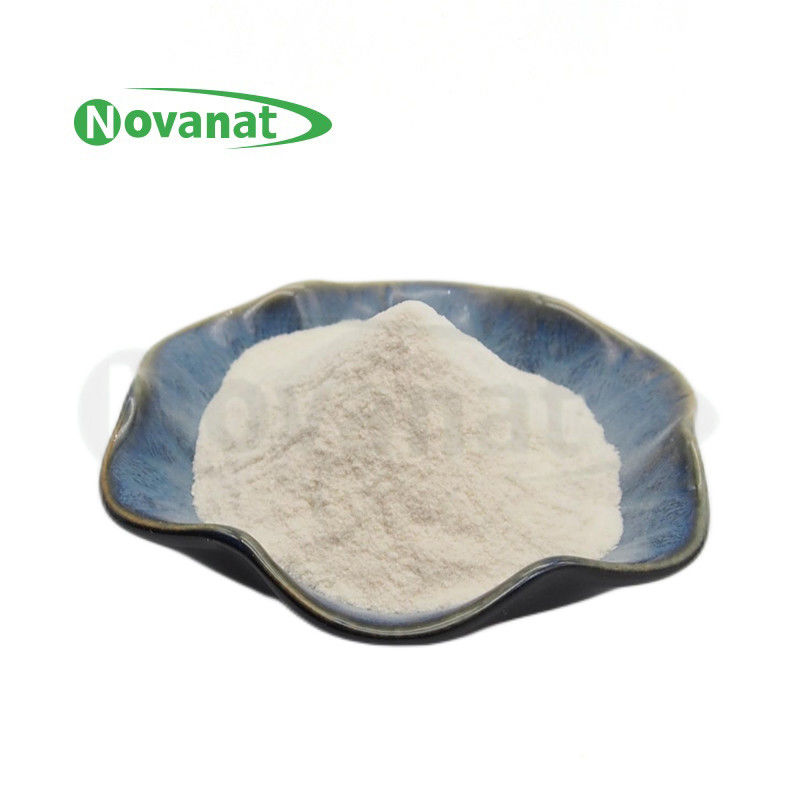 Allergen Free Probiotics Powder HALAL Lactococcus lactis subsp.lactis 300 Billion