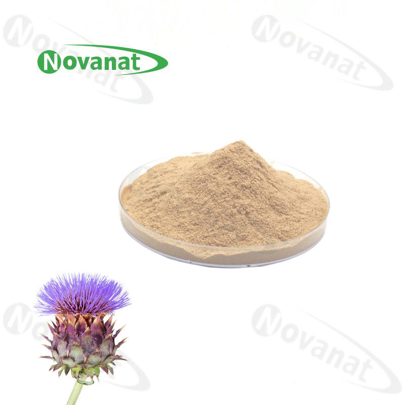 Natural Plant Extract Silymarin 80%/Water soluble /Clean Label