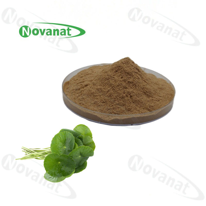 Gotu Kola Extract Asiaticoside 5% - 90% / Total Triterpenes 10% - 80% / Clean Label / Allergen Free