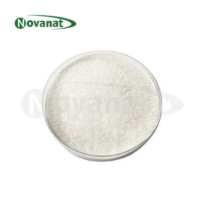 Streptococcus salivarius subsp yang dipasteurisasi. thermophilus ST6 Bubuk Postbiotik Vegan/Bebas Alergen/Bebas Gluten/Bebas Susu