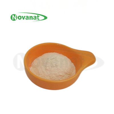 Pediococcus Acidilactici PA10 500billion CFU/g Probiotik Powder Vegan/Alergen Bebas/Gluten Bebas/Dairy Bebas