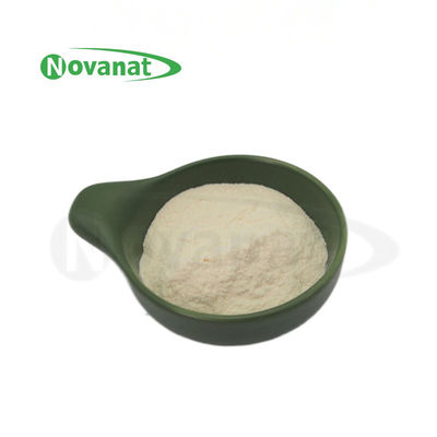 Bubuk Probiotik Levilactobacillus brevis LBr05 Vegan / Bebas Alergen / Bebas Gluten / Bebas Susu