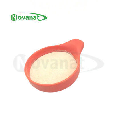 Tyndallized / Vegan Ligilactobacillus salivarius LS86 Bebas Alergen/Bebas Gluten/Bebas Susu