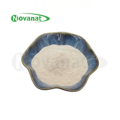 Ligilactobacillus salivarius LS86 100billion CFU/g Bubuk Probiotik Vegan/ Bebas Alergen/ Bebas Gluten/ Bebas Susu