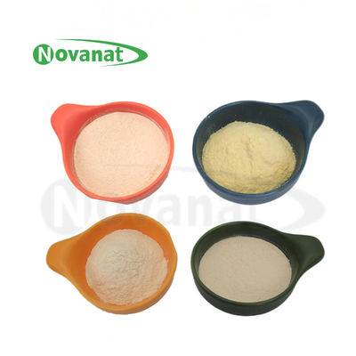 Bubuk Probiotik Lactiplantibacillus plantarum LP-Onlly Vegan / Bebas Alergen / Bebas Gluten / Bebas Susu