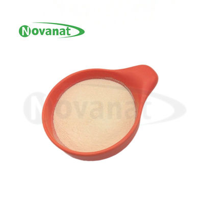 Lacticaseibacillus paracasei LPC28 probiotik / Tyndallized / Vegan / Bebas Alergen / Bebas Gluten / Bebas Susu