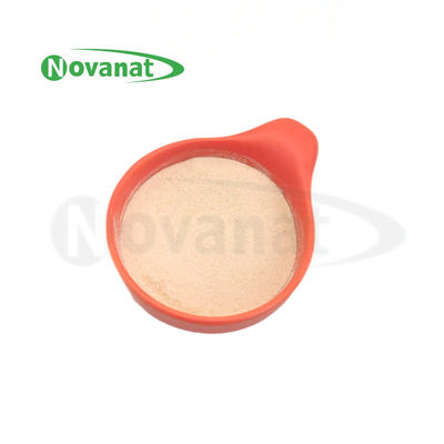 Bifidobacterium animalis subsp. lactis BI516 Postbiotics Powder Tyndallized / Vegan / Bebas Alergen / Bebas Gluten / Bebas Susu