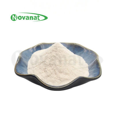 Lacticaseibacillus Rhamnosus LR22/500billion CFU / G / Vegan / Bebas Alergen / Bebas Gluten / Bebas Susu