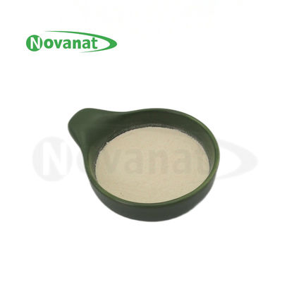 Lactobacillus delbrueckii subsp. Bulgaricus LB2/50billion CFU/G/VEGAN/ALLERGEN Bebas/Bebas Gluten/Bebas Susu